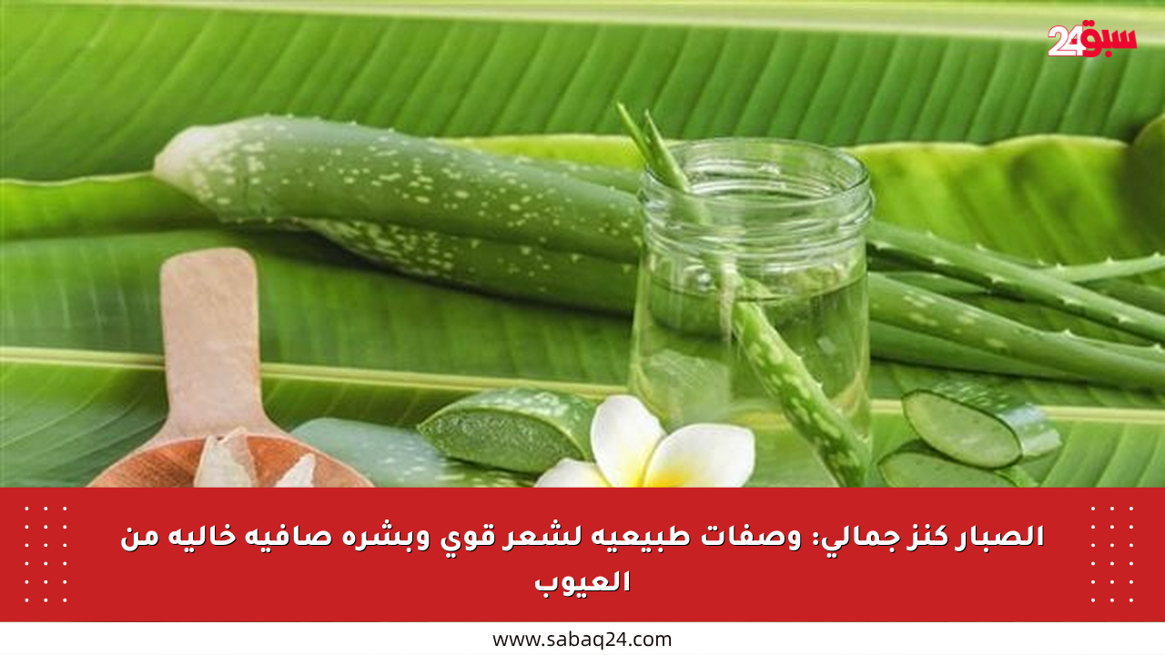 الصبار كنز جمالي: وصفات طبيعية لشعر قوي وبشرة صافية خالية من العيوب